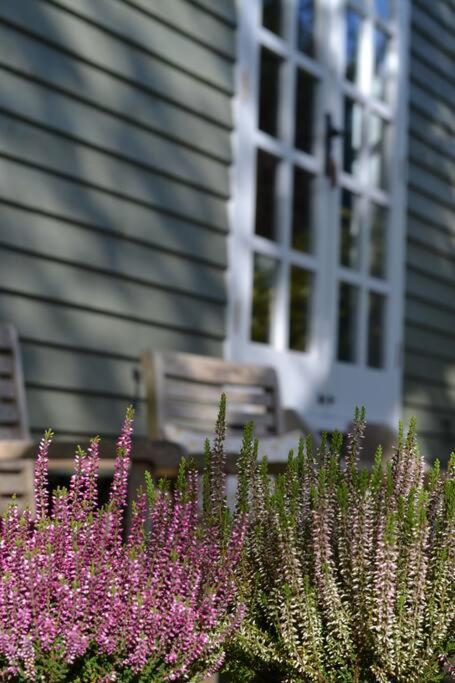 The Nutbourne Hut - Shepherd's Hut - Pint-sized Luxury Hambrook